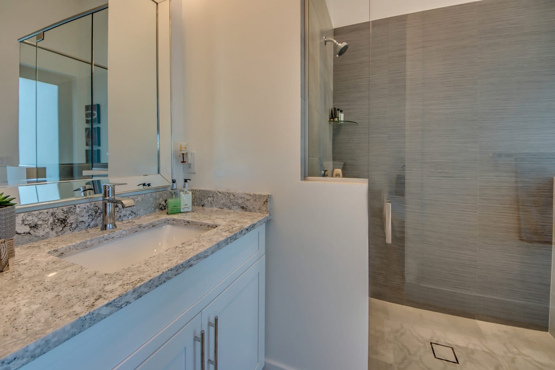Contemporary bathroom with frameless glass shower